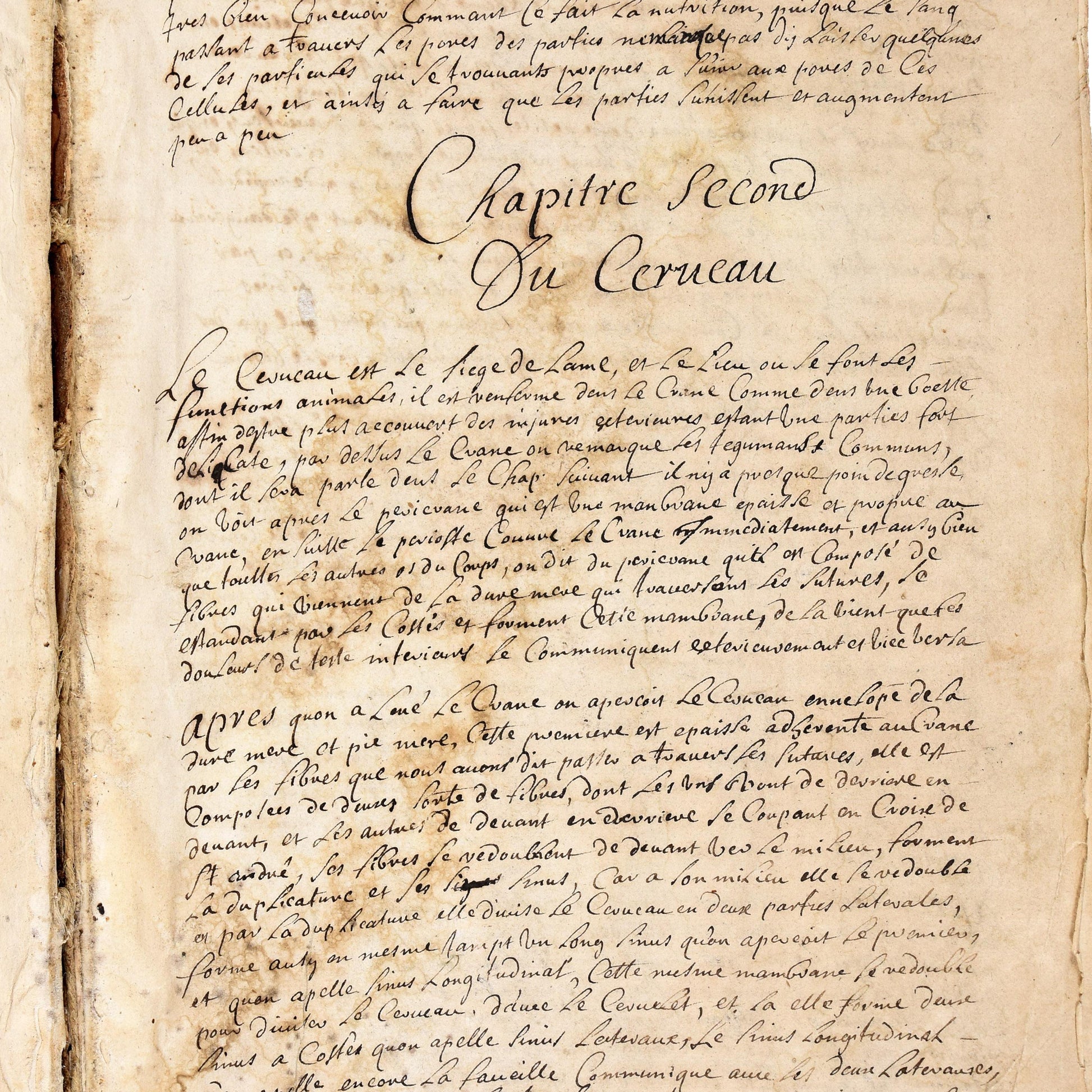 18th century Hand Written French Manuscript on Human Anatomy and Surgical Practice