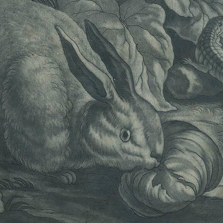 Early 18th century Old Master Blue Mezzotint of a Hare, Lizard, Bird and Butterfly