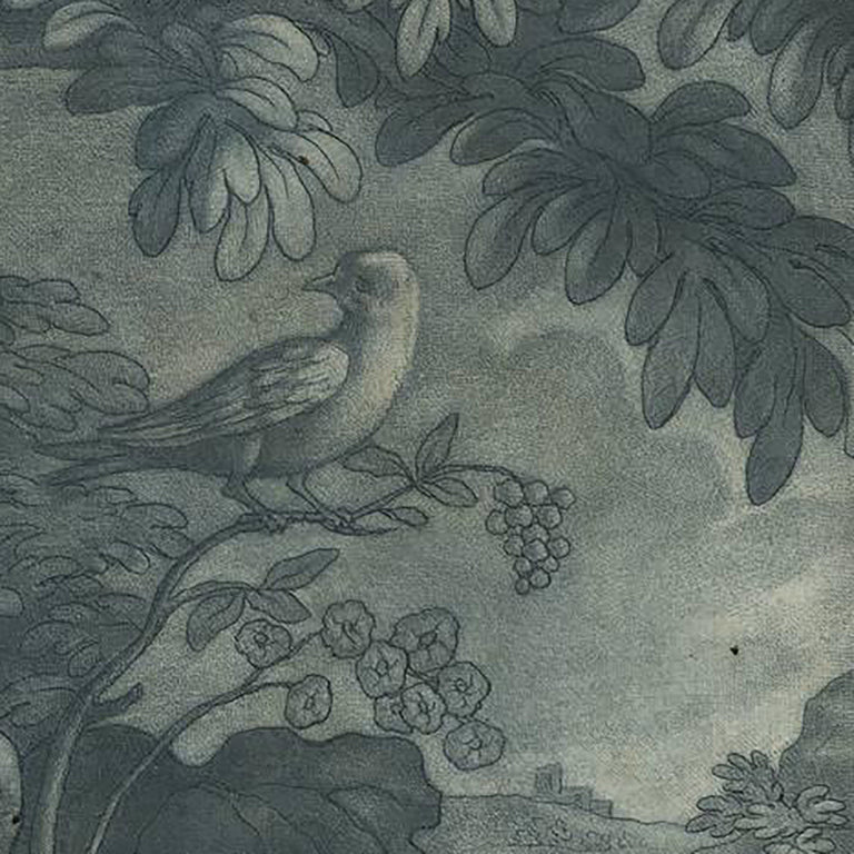 Early 18th century Old Master Blue Mezzotint of a Hare, Lizard, Bird and Butterfly