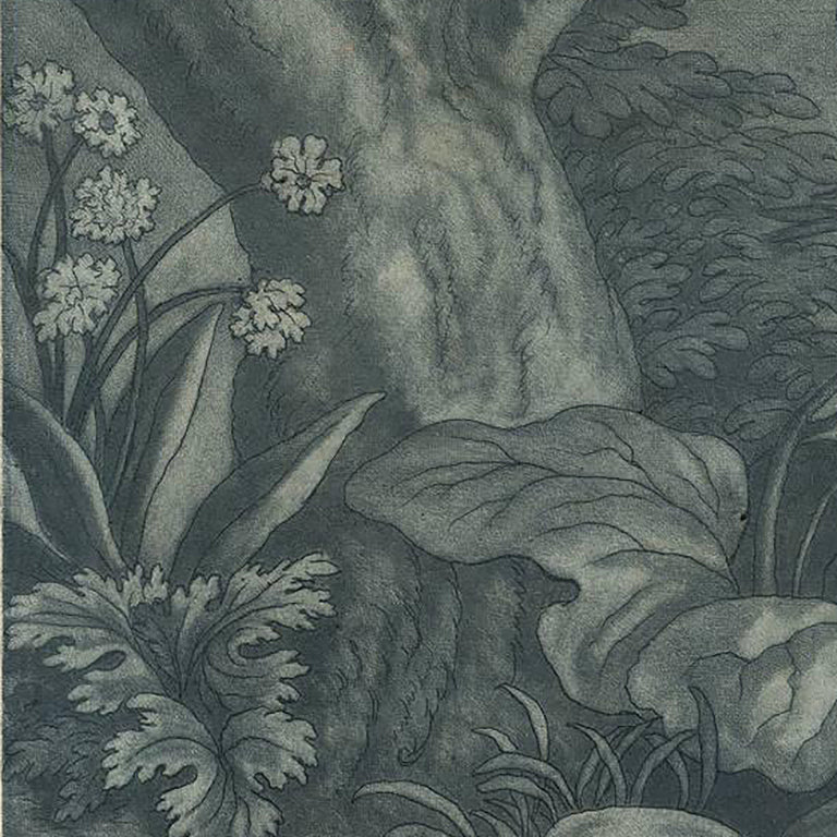 Early 18th century Old Master Blue Mezzotint of a Hare, Lizard, Bird and Butterfly