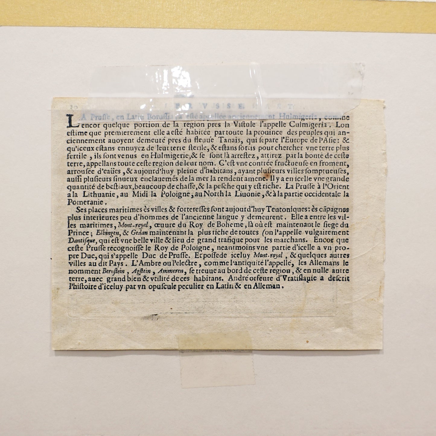 Text document on a beige background with a yellow border