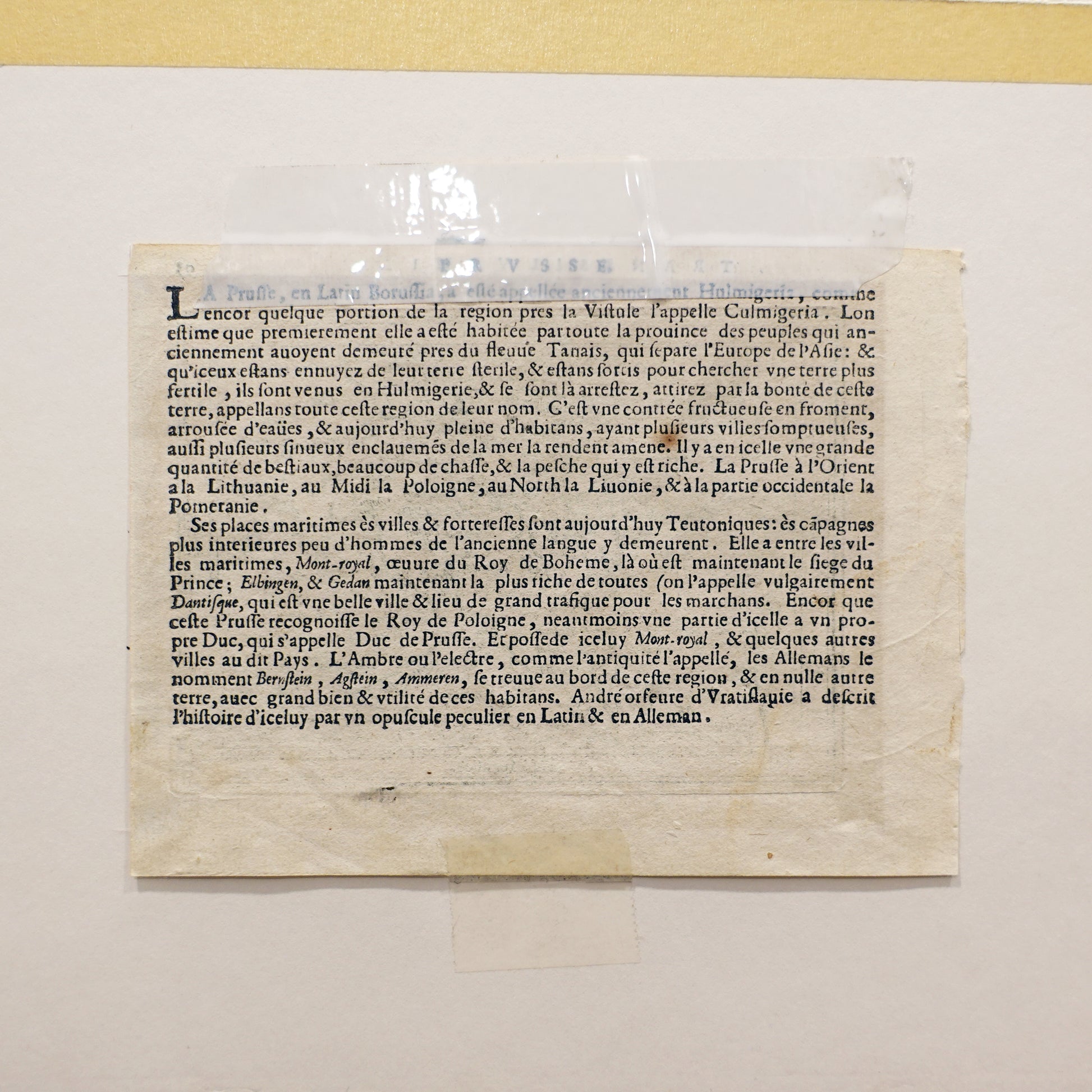 Text document on a beige background with a yellow border