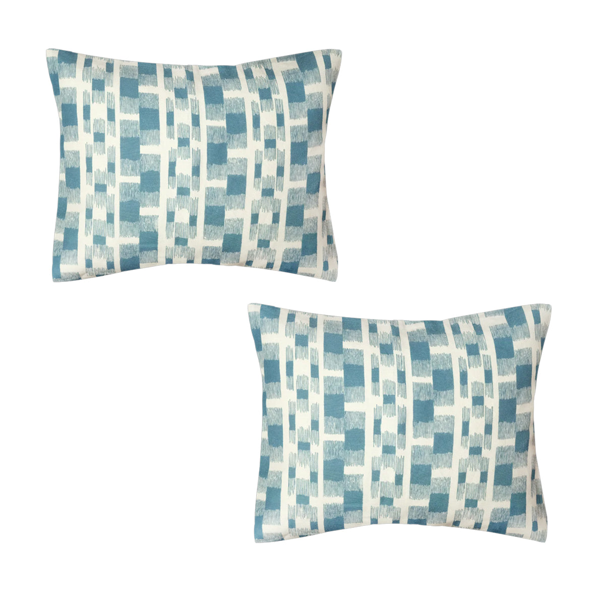 Two blue and white checkered pillows on a white background